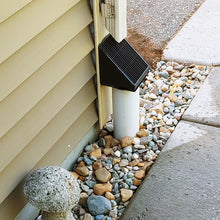 Load image into Gallery viewer, Bulk Carton: 48 Debris Filters